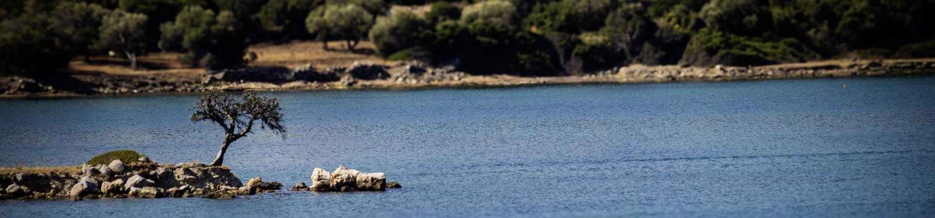 Barış Konor Tek ve Hür adlı sergisiyle, ÇEKÜL Vakfı 7 Ağaç Ormanları Programı'na destek oluyor