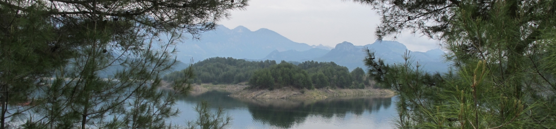 Doğa temelli liderlik ve sessizlik