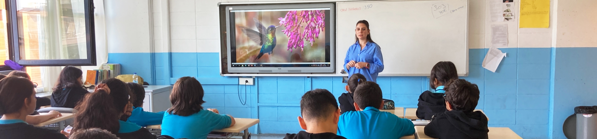 Doğadan Gelen İlham: Biyomimikri