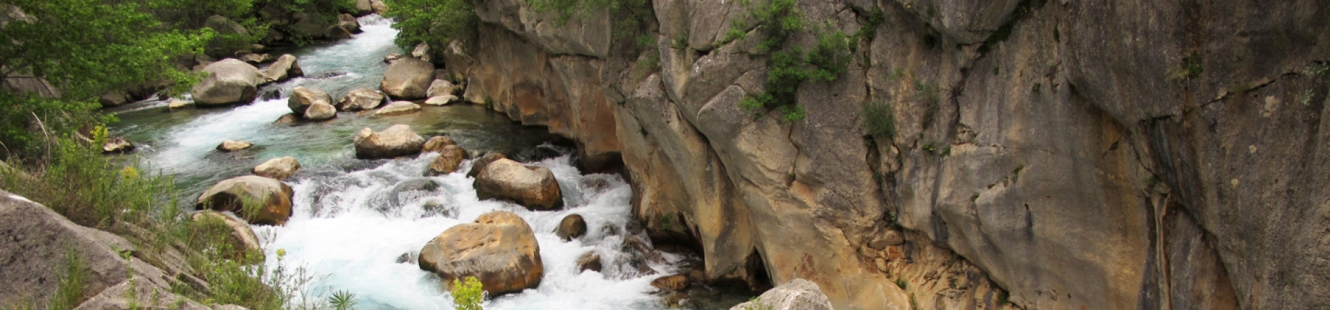 Suyumuzu nasıl kullanmalıyız?