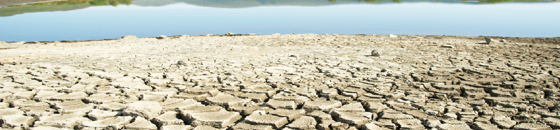 İklim krizini kim ateşliyor?