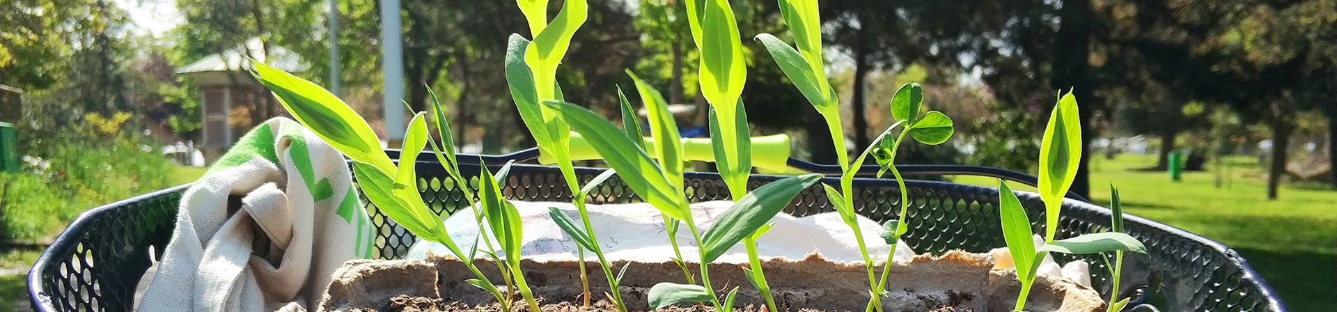 İnsan doğayla uyumlu olabilir mi?