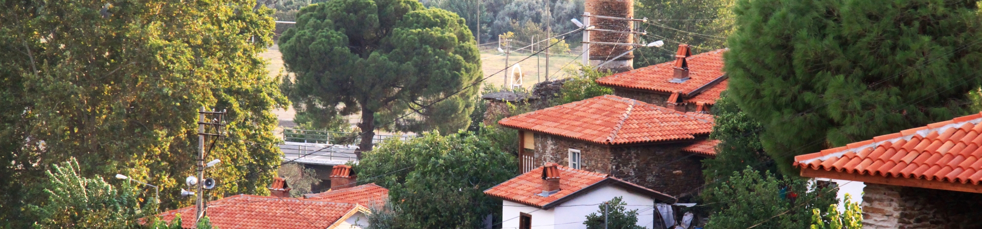 Banner Görseli
