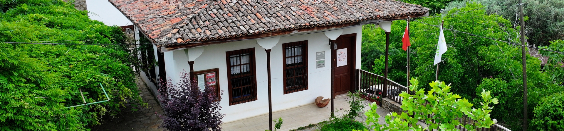 ÇEKÜL Birgi  Evi'nde orman yangınları ve iklim krizi ele alınacak