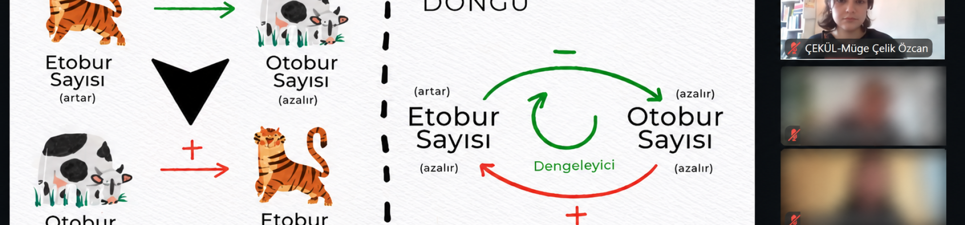 ÇEKÜL Bilgi Ağacı öğretmen programları ile öğretmenlerle buluştu