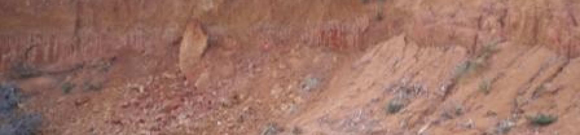 İstanbul - Şile / Avcıkoru - 1994