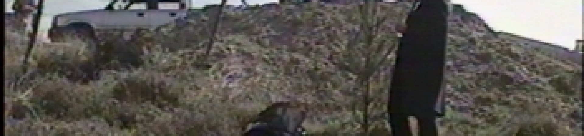 Çanakkale / Assos – Gelibolu - 2001