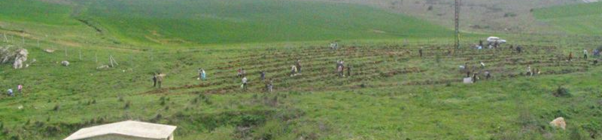 Bilecik / Osmaneli - 2003