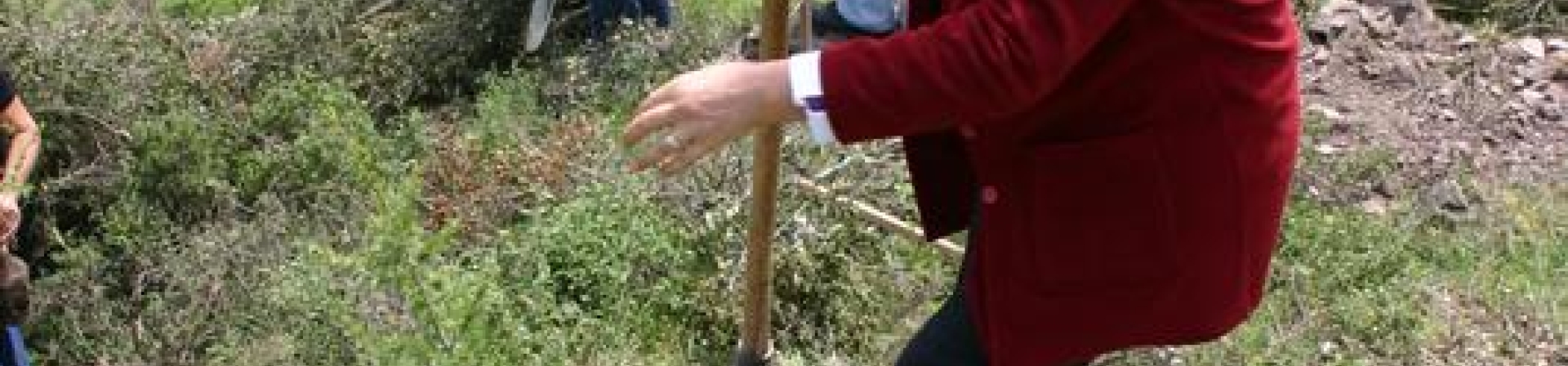 Kocaeli / Körfez - 2007