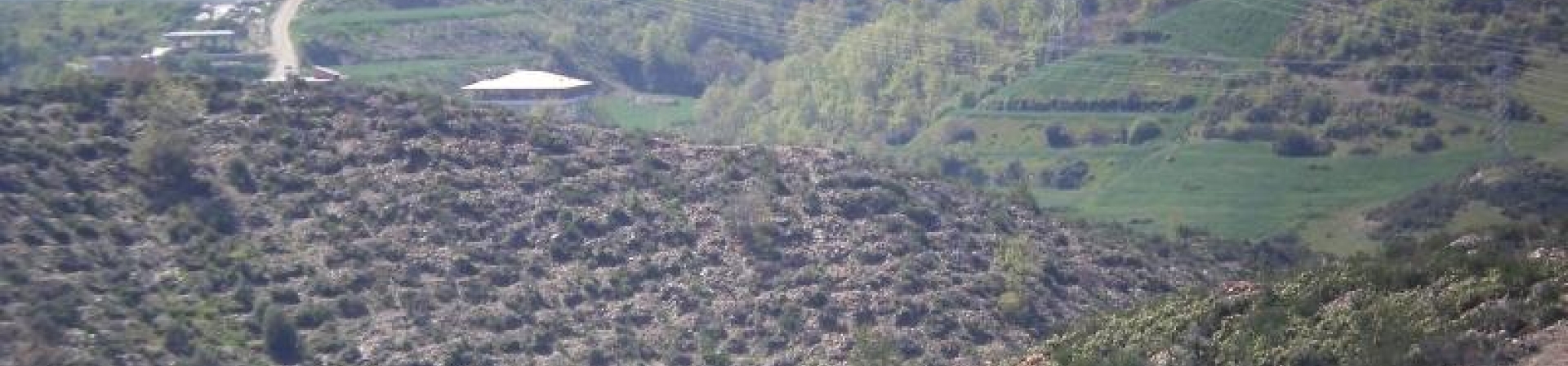 Banner Görseli
