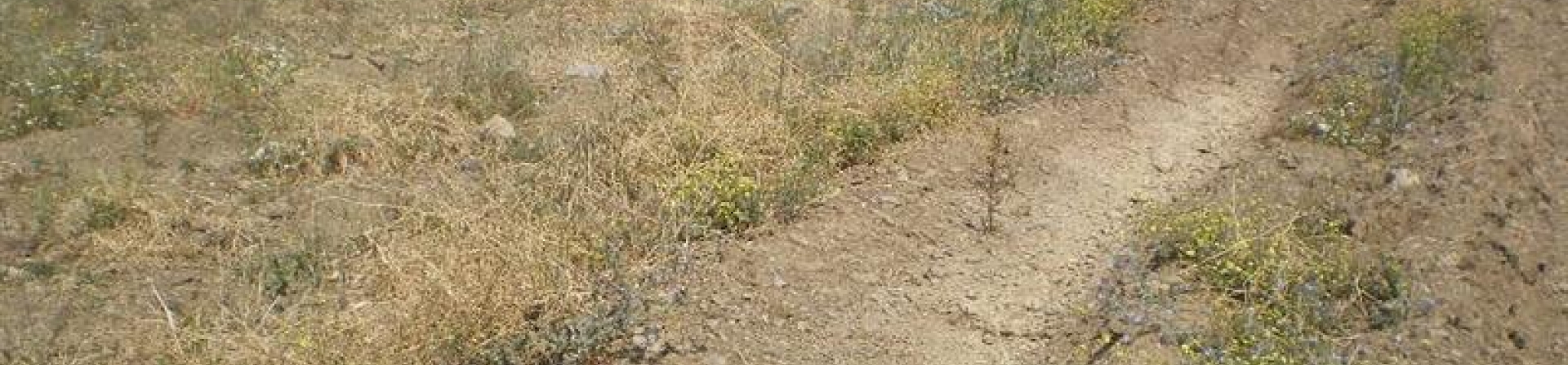 İzmir / Seferihisar - 2010