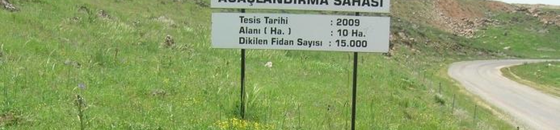 Mardin / Mazıdağı, Arısu - 2011