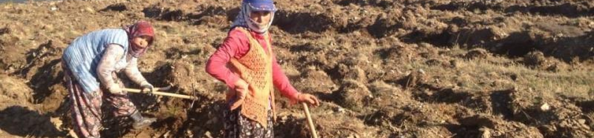 İzmir / Ödemiş, Bozdağ - 2013