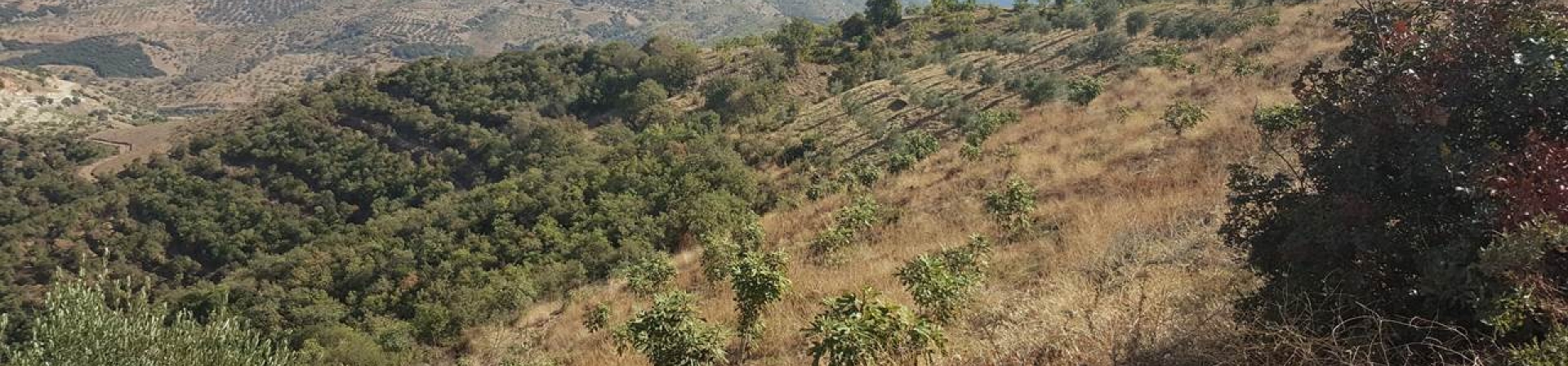 İzmir / Beydağ - 2017