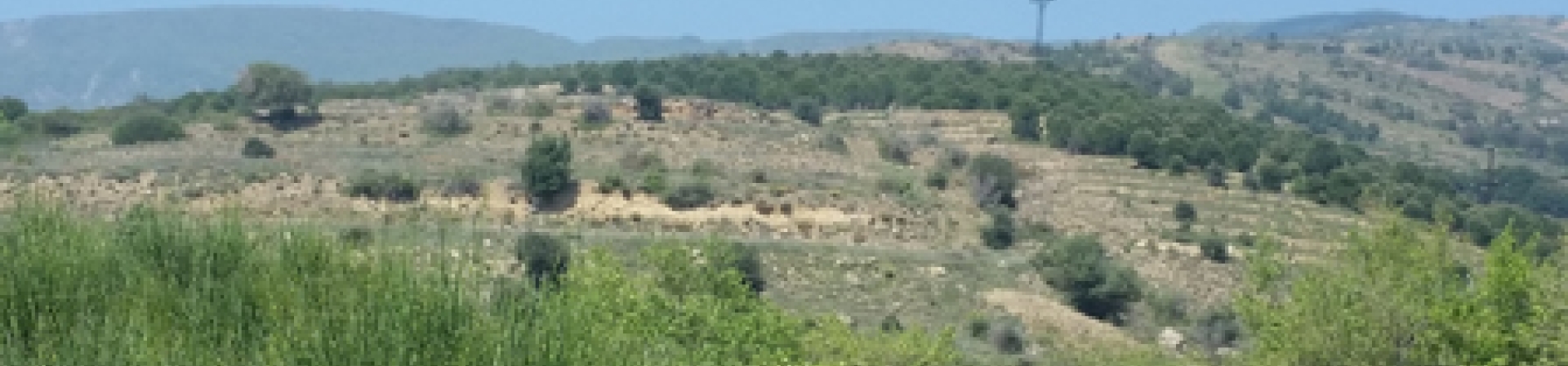 Tekirdağ / Uçmakdere 2 - 2017