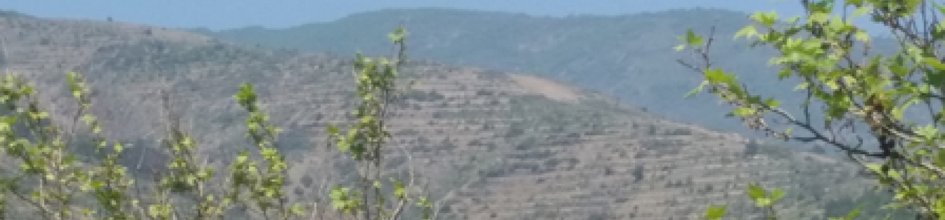 Tekirdağ / Gaziköy - 2017