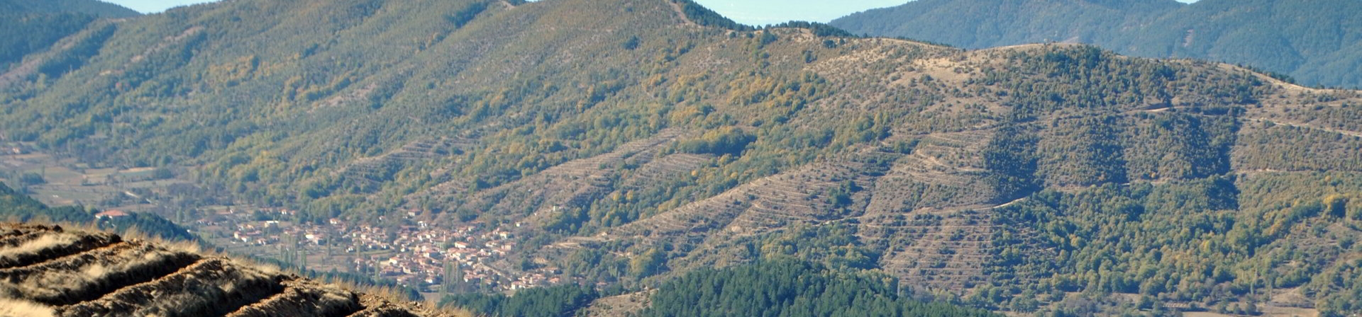 İzmir / Ödemiş, Bozdağ - 2014