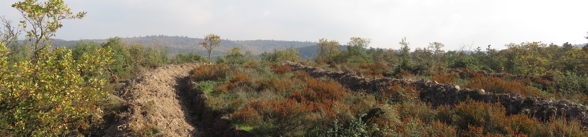 İzmit / Balcık - 2015