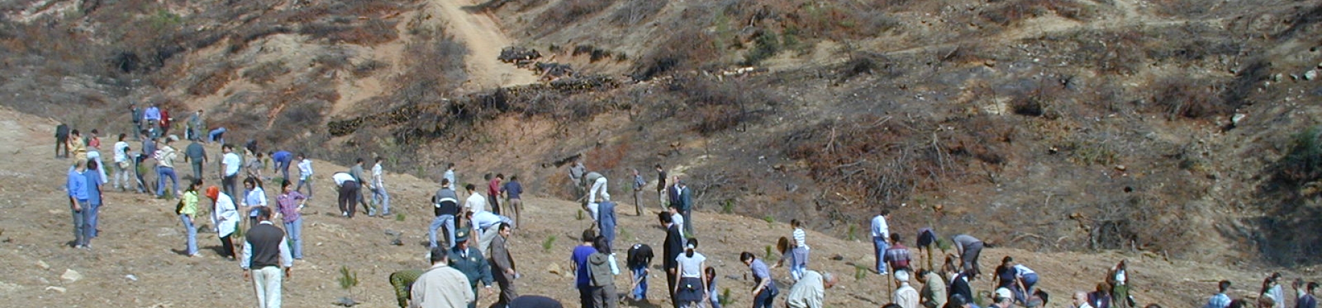 Bilecik / Osmaneli - 2002