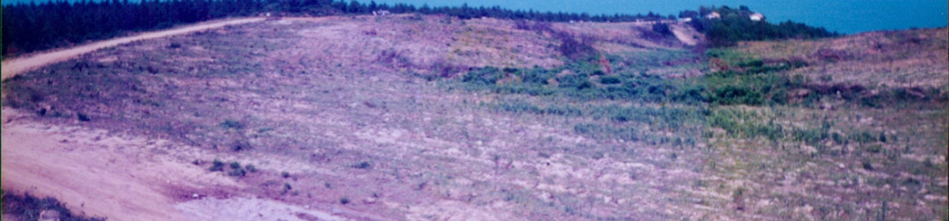 İstanbul - Şile - 1994