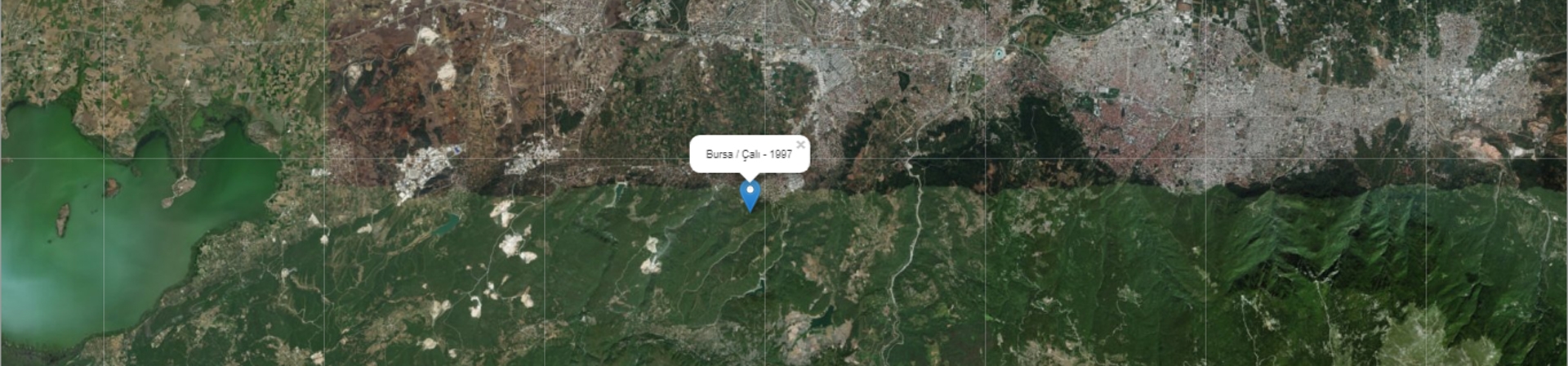 Bursa / Çalı - 1997