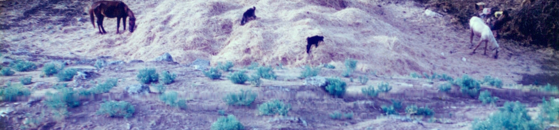 Harran / GAP, Ağveren - 1997