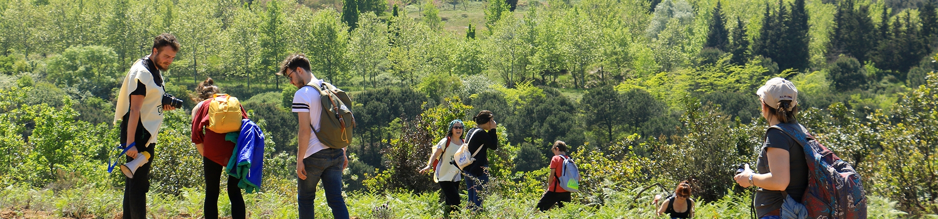 İstanbul / Beykoz, Kavacık - 2015