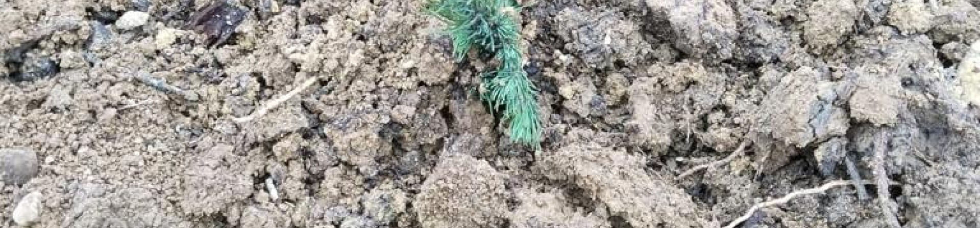 Balıkesir / İvrindi / Akbaş Köyü – 2023/2024