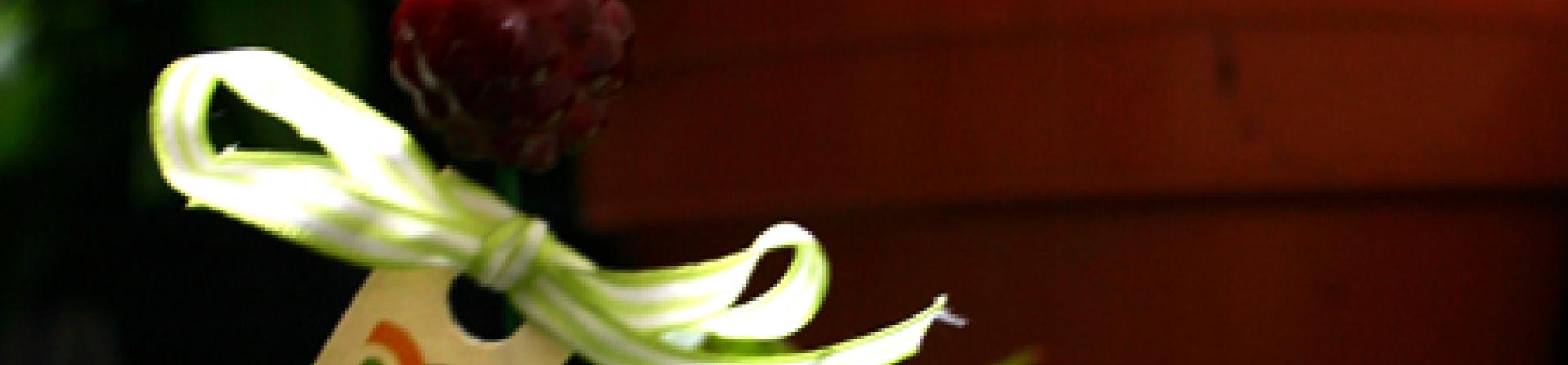 Doğa ve Kültüre Destek Olmak İçin El Yapımı Özgün Cam Tasarımlar