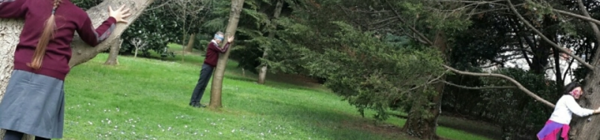 Çocuklar ağaçların dilinden konuştu