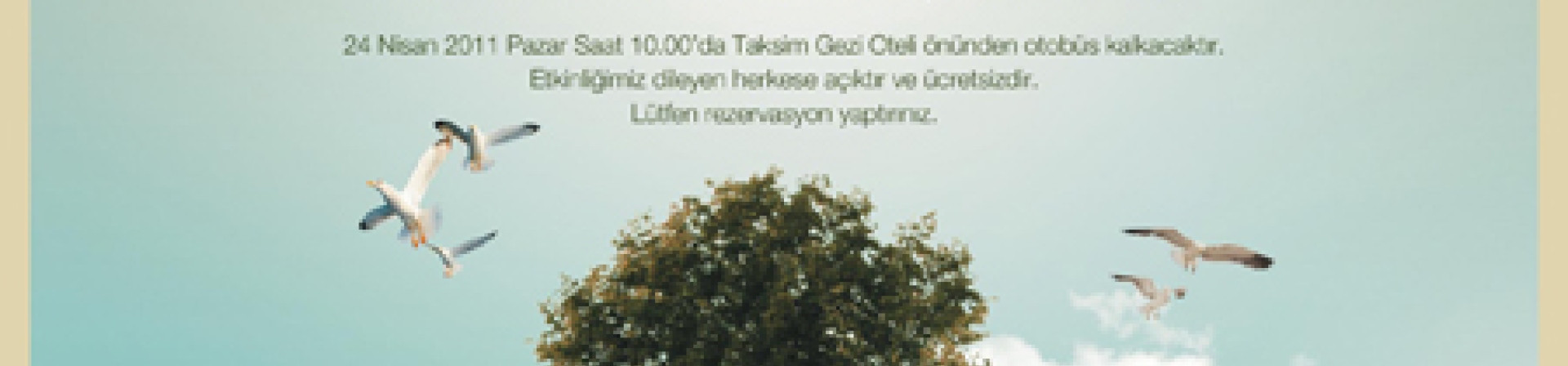 7 Ağaç Ormanları Dikim Şenliği'ne davetlisiniz