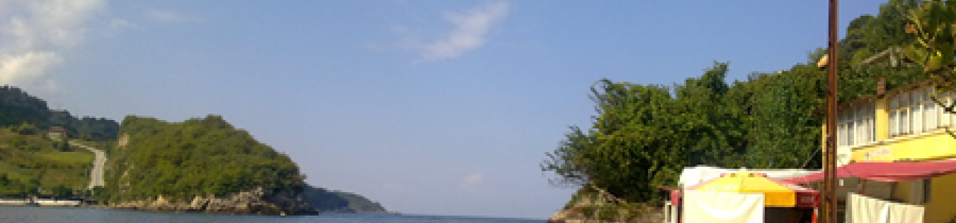 Gençlik Birimi Üyemizden Gezi Notları