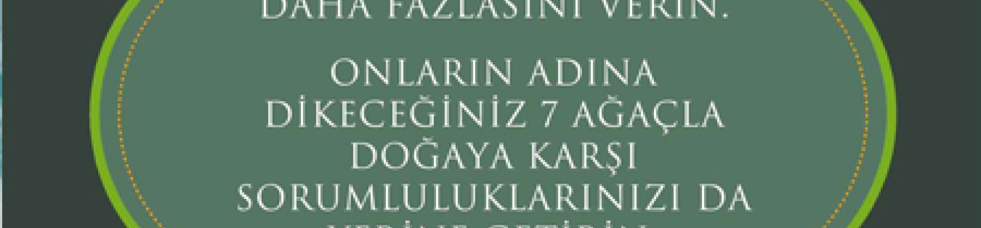 7 Ağaç Ormanları Yeni Fidanlar Bekliyor!