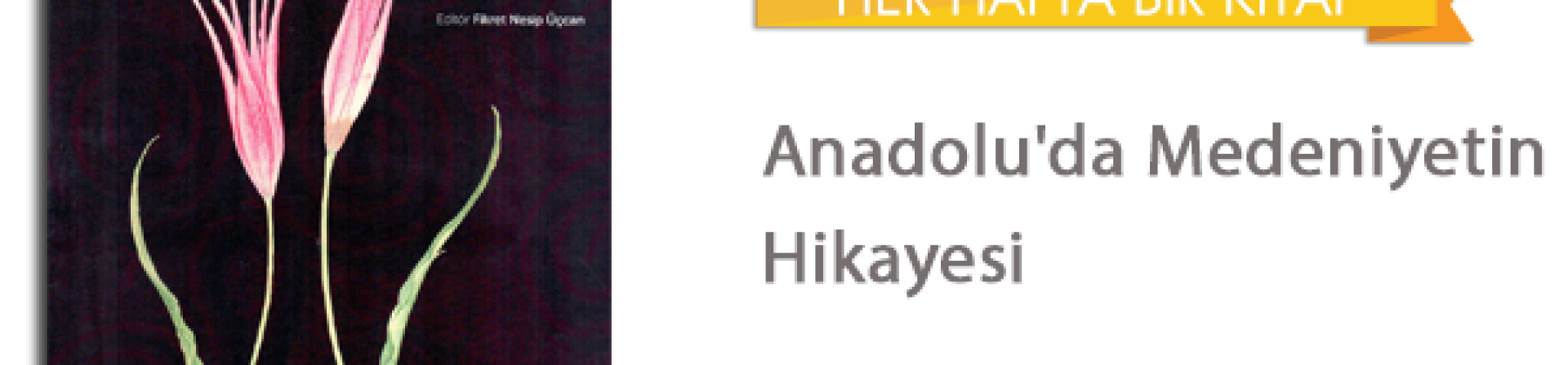Anadolu'da Medeniyetin Hikayesi