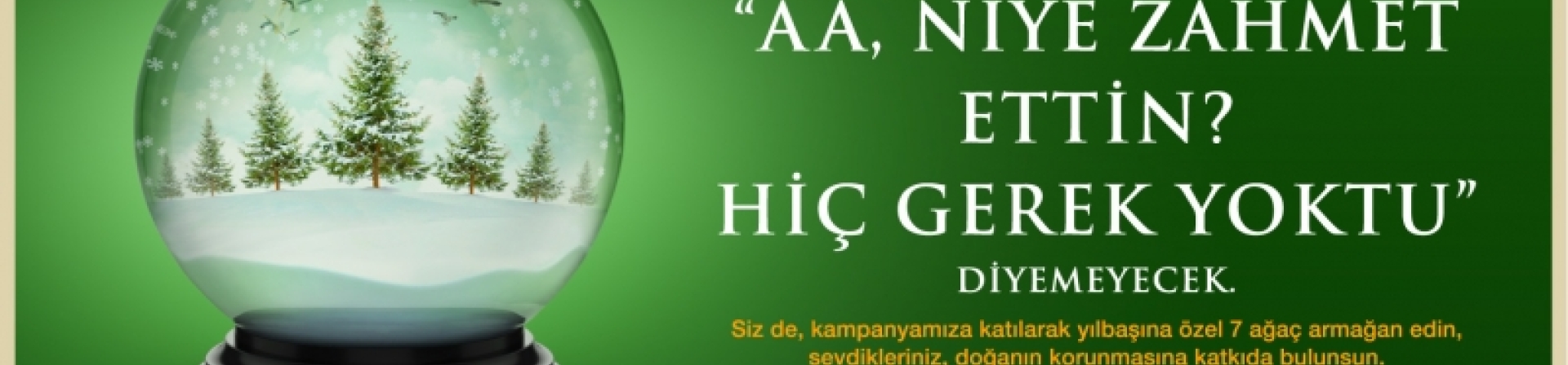 Yeni yılda doğanın korunmasına katkıda bulunun