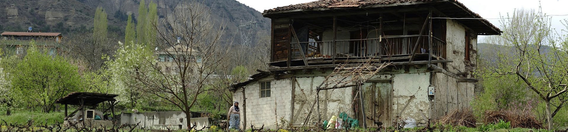 Bağı Bahçesi, Hanı Hamamıyla Tosya