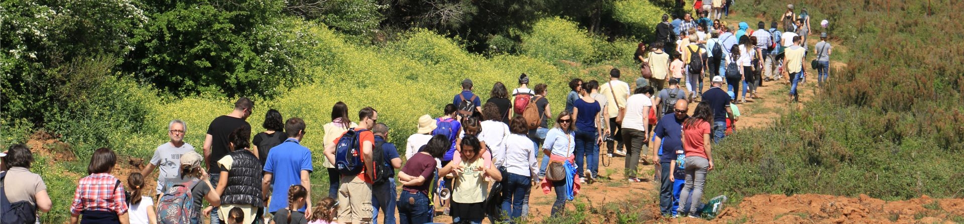 Bir Ormanımız Daha Olsun