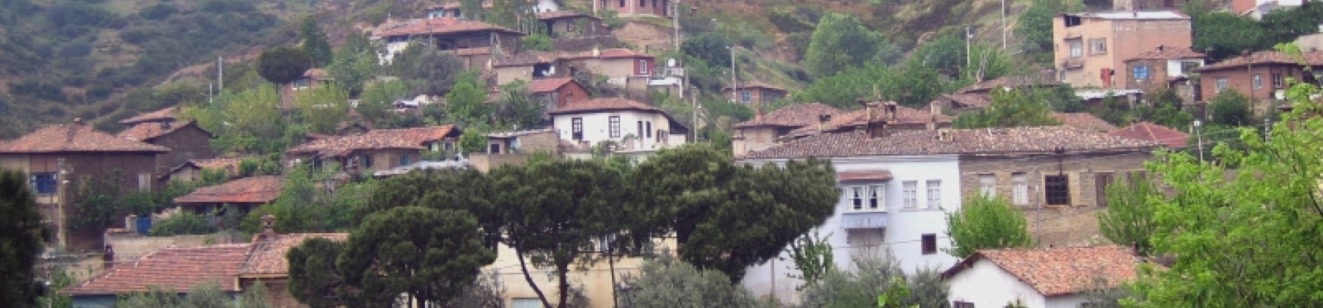 Birgi 2011 Çalıştayı 2 Eylül’de başlıyor!