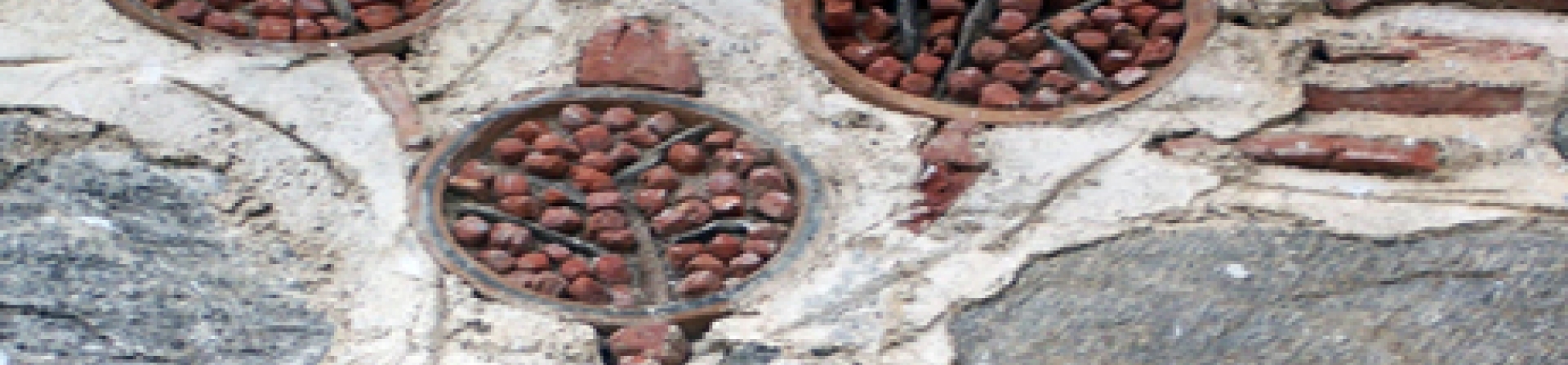 Birgi’yi merak eden Aydınlılar