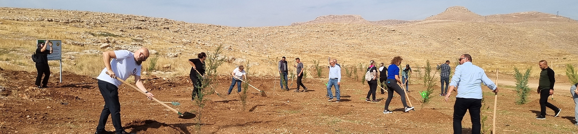 ÇEKÜL 7 Ağaç Ormanları 100 Bin Fidan Daha Büyüdü