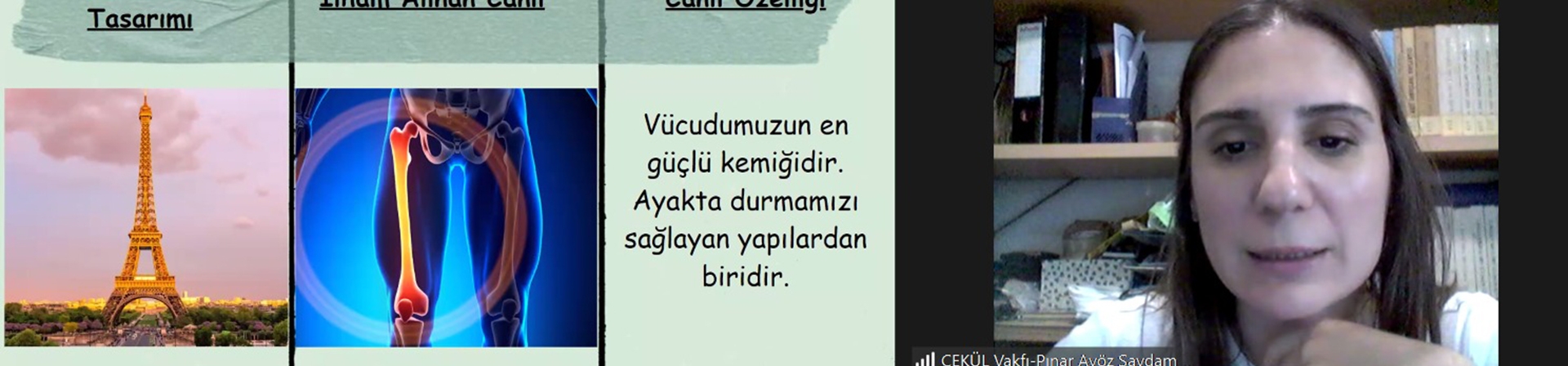ÇEKÜL Bilgi Ağacı Biyomimikriyi Anlatıyor
