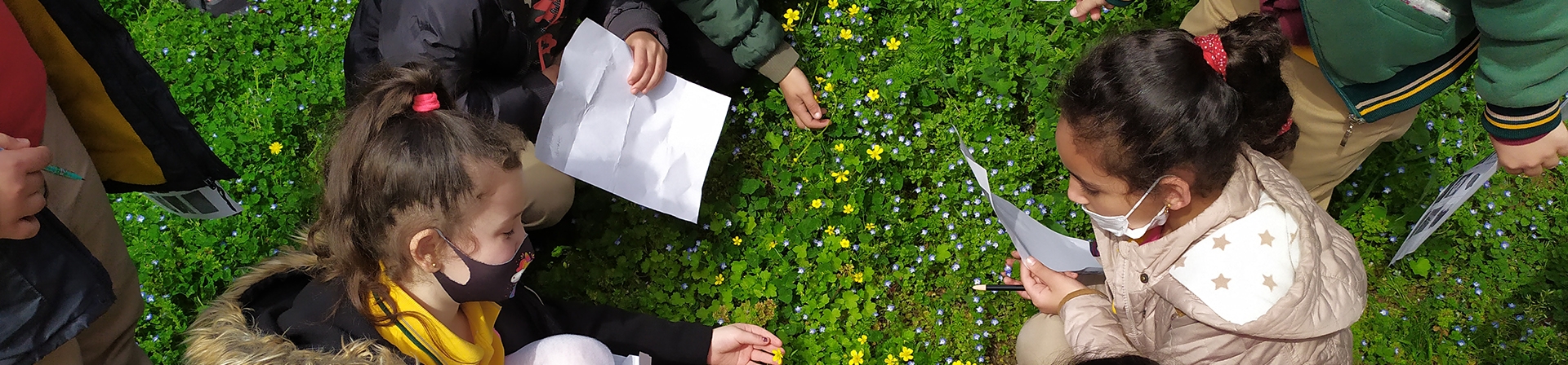 ÇEKÜL Bilgi Ağacı Öğretmen Programları Başlıyor!