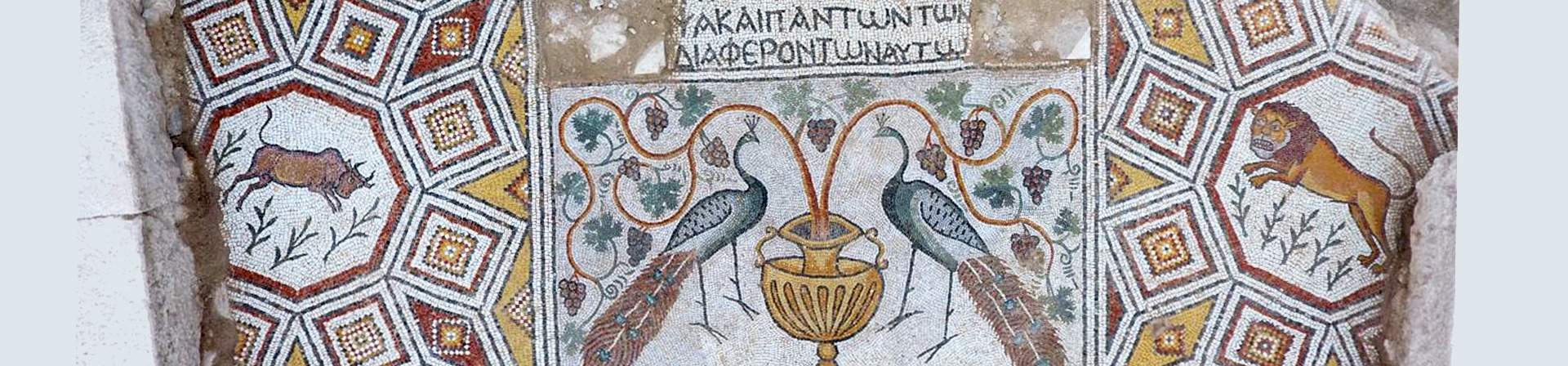 ÇEKÜL Çarşamba Kent Toplantıları Devam Ediyor