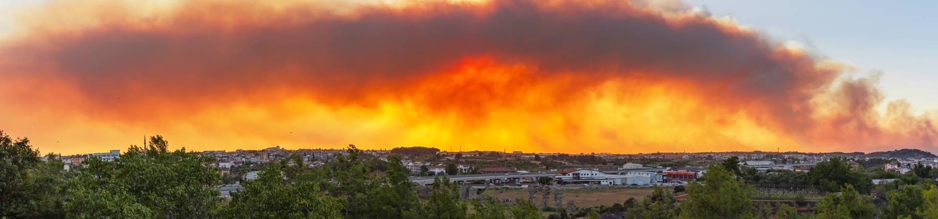 ÇEKÜL Vakfı Orman Yangınlarına Karşı Uyardı