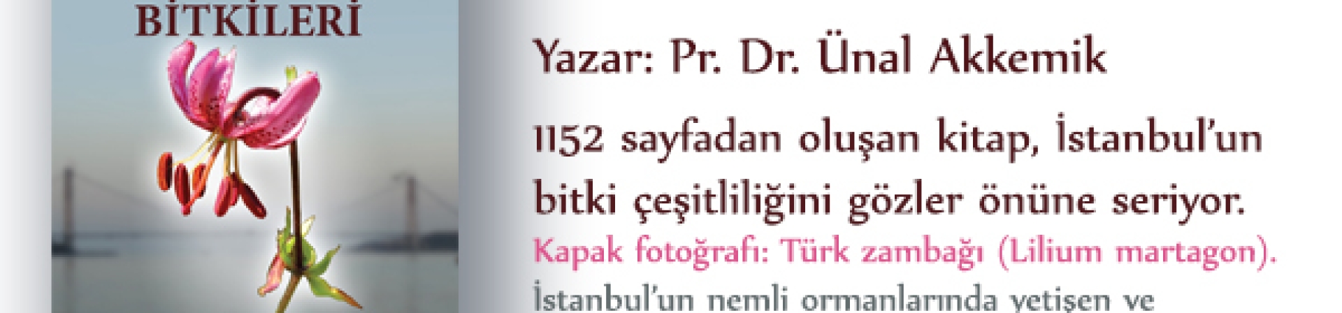 İstanbul’un Doğal Bitkileri