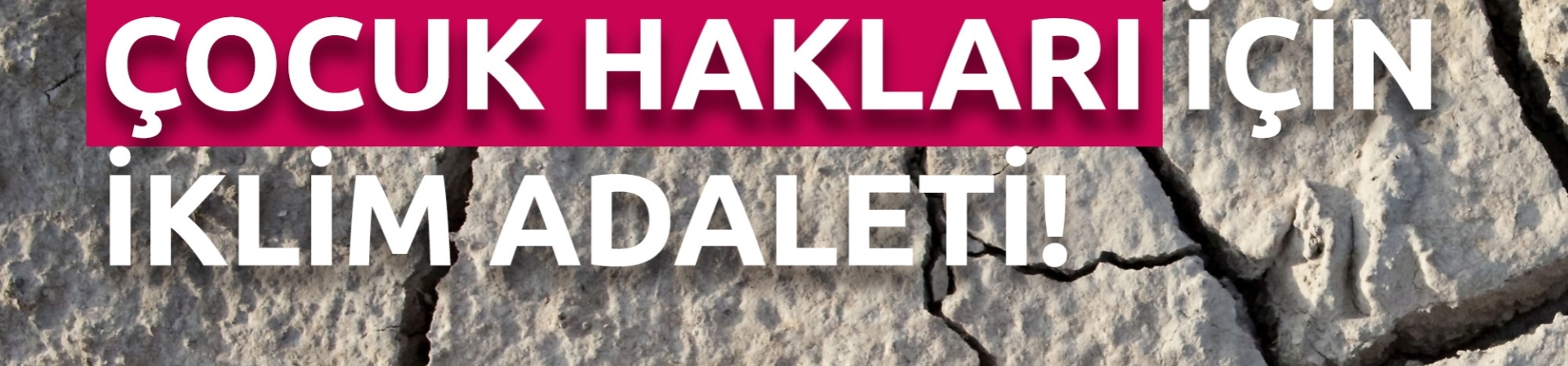 Daha Adil, Sürdürülebilir ve Doğayla Uyumlu Bir Gelecek