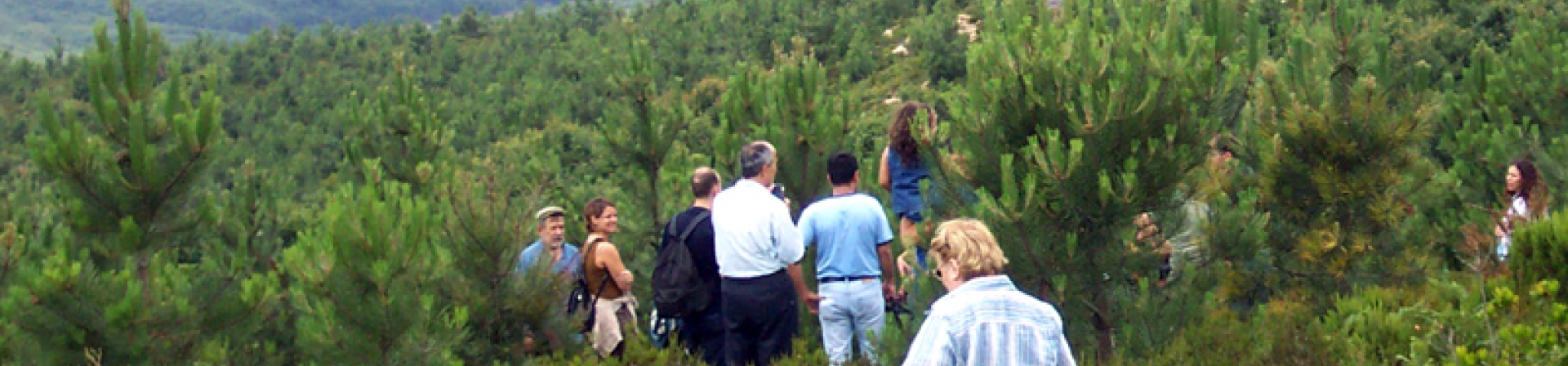 Bir yıl daha fidan dikmeden geçmesin!