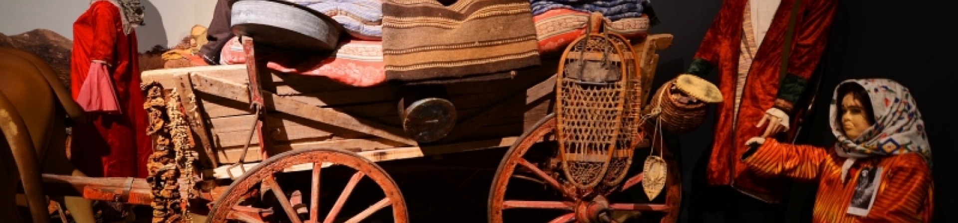 Balkanlardan, Kırımdan, Kafkaslardan göçün hikâyesi