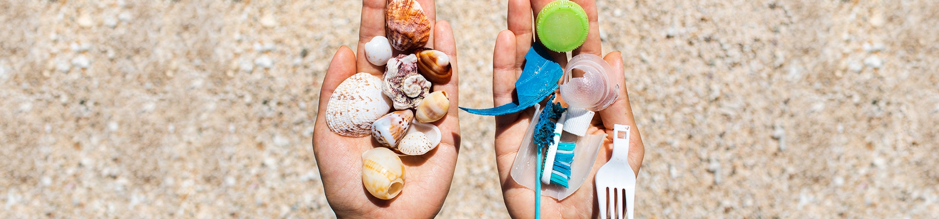 Dünya Çevre Gününde Plastiksiz Bir Yaşam Seç