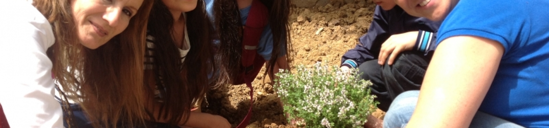 Domates biberle canlanan okul bahçeleri